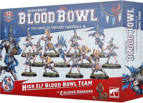 BLOOD BOWL: HIGH ELF BLOOD BOWL TEAM