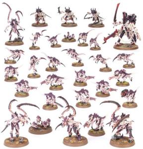 TYRANIDS BATTLEFORCE: TYRANID SWARM