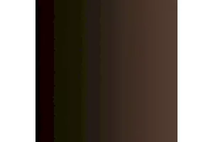 MUDDY GROUND (VALLEJO XPRESS COLOR)