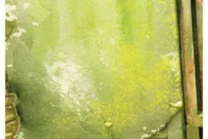 SLIMY GRIME LIGHT (40 ml)