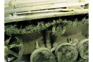 CRUSHED GRASS (40 ml)