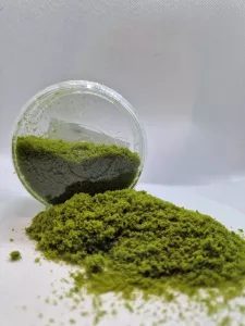 GF9 Hobby Round: Spring Undergrowth