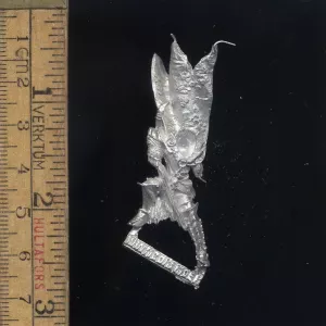 Dark Elf Beastmaster Body (1)