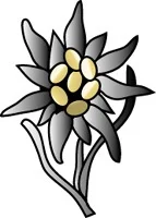 PANZER GRENADIER: EDELWEISS