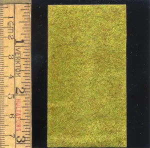 Lawn for European City House 40x72 mm (1)