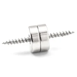 Disc magnet Ø 12 mm, height 4 mm, holds approx. 1,6 kg (2)