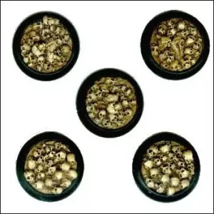 WarMachine Skull Bases, 30mm Round Beveled (5)