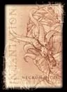 NECROMANCY SPELLBOOK (1)