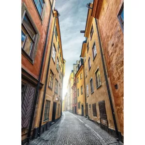 Stockholm Old Town 1000 pieces