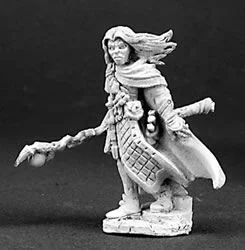 Damar Hawkwinter, Adventuring Mage