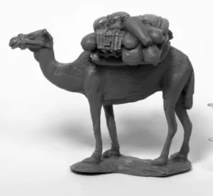 Camel w/ Pack