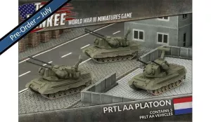 Dutch PRTL AA Platoon