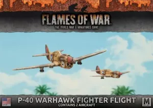 P40 Warhawk Fighter Flight (2x)
