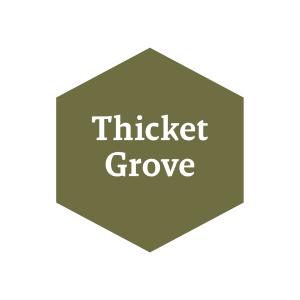 John Blanche Paints: Thicket Grove (18ml)
