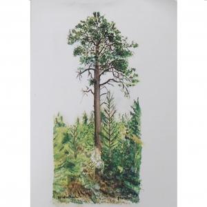 Kristina Blakstad® - tryck "Stortallen"