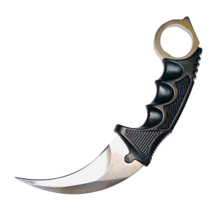 Sayre Knives CS go Karambit