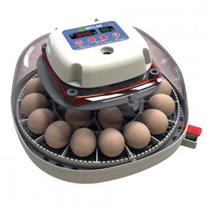 Äggkläckningsmaskin automatisk med ägglampa