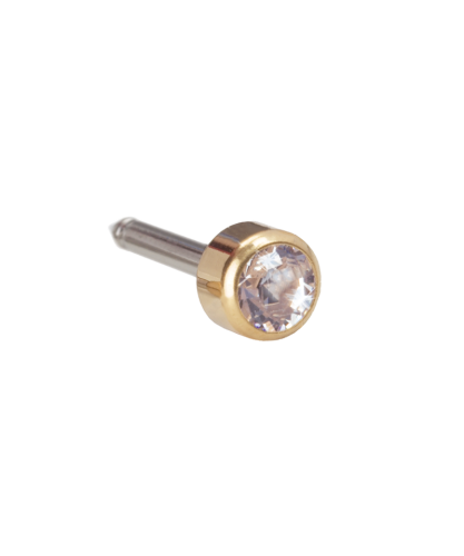 Med. ear G titanium bezel 10 stk