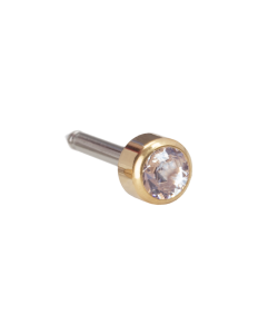 Med. ear G titanium bezel 10 st