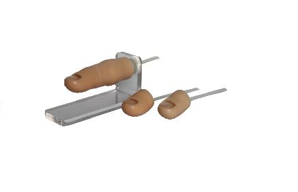Anat. modell Nageltrång