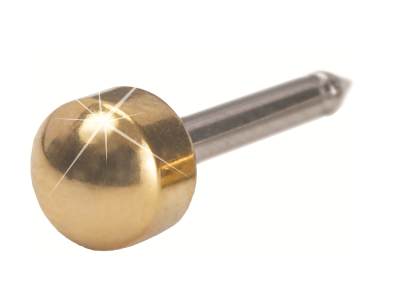 Med. ear G titanium plain 10 st
