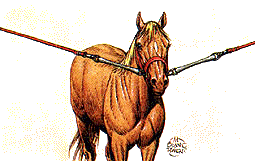 Gummirep 30 cm med två karbinhakar