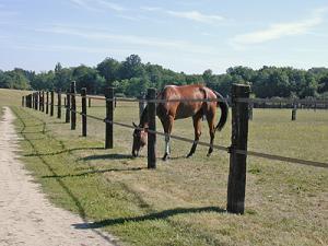 Paket: 500m brunt 40 mm band med alla tillbehör