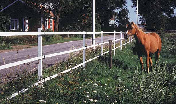 Paket 40 mm vitt band 500 m med tillbehör.