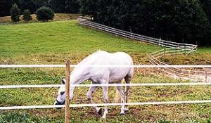 Paket: 500m 40 mm vitt band med tillbehör.