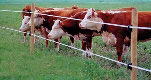 Paket: 14 mm vitt 500m med tillbehör