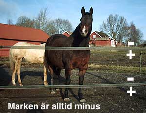 Polarbandspaket 250m med tillbehör.