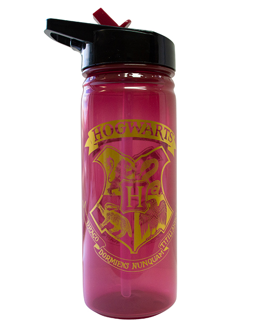 Harry Potter - Bottle 600ml