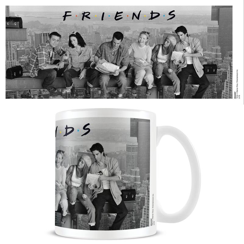 FRIENDS (LUNCH ON A SKYSCRAPER) Mug