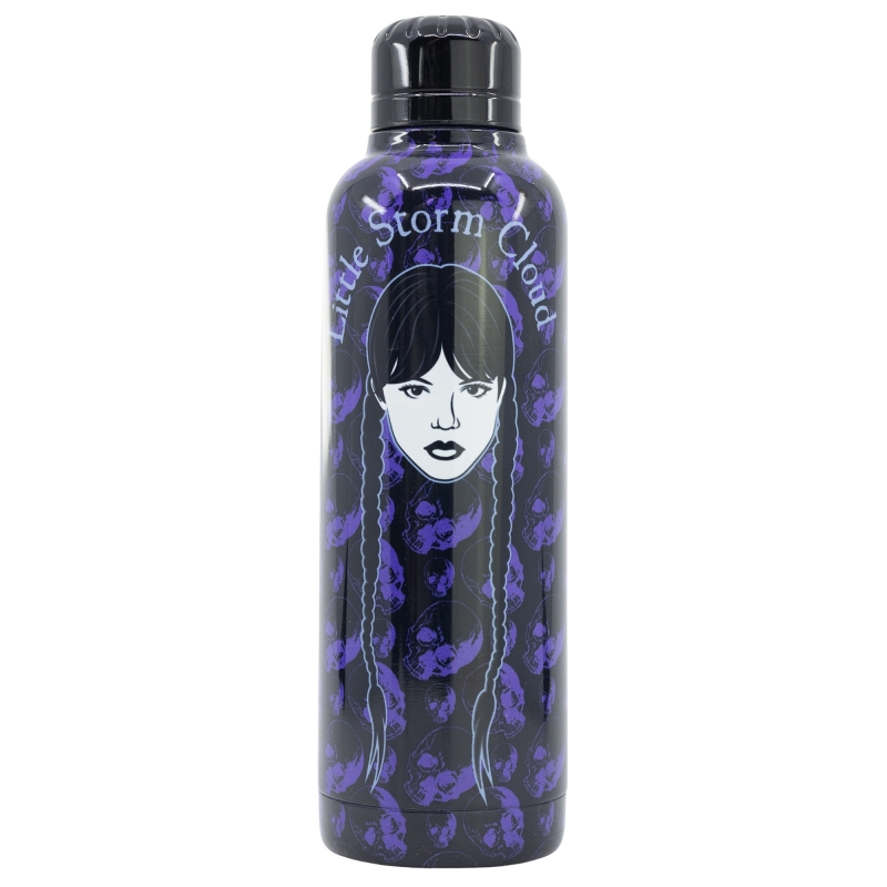 YOUNG ADULT INSULATED STAINLESS STEEL BOTTLE 515 ML WEDNESDAY