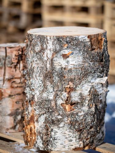 Huggkubbe björk 50 cm hög (på pall för hemleverans fraktfritt i hela Sverige)