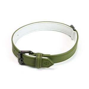 Cambridge Collar, olivgrönt hundhalsband