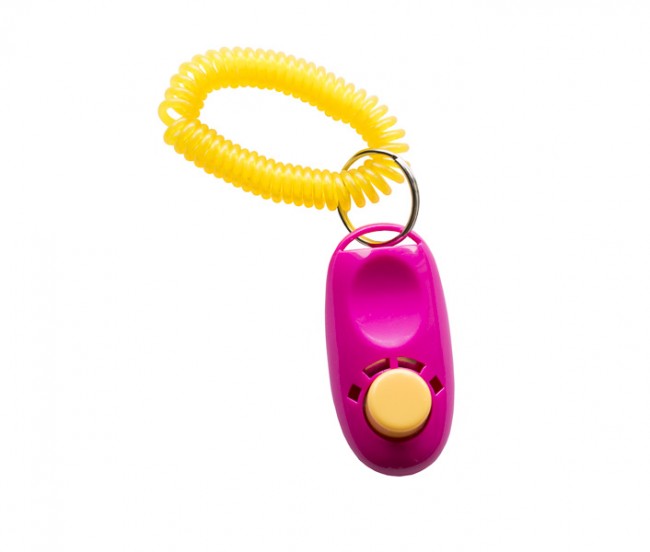 Active Canis Clicker With Spiral Wristband
