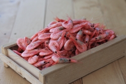 Lyxräkor 50/70 (Pandalus borealis) 2,5 Kg (MSC) (399:-/KG)