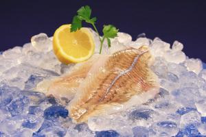 Rödspätta (Pleuronectes Platessa) 2.25kg