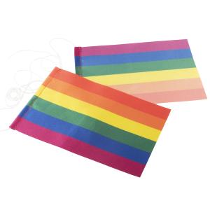 Prideflagga 16x10cm i sidenkvalitet