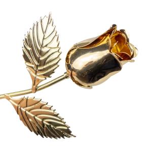 Guldros med gravyrplatta