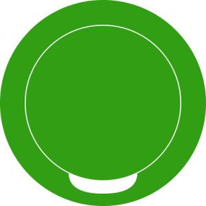 Snusdosa DUS grön aluminium gravyrbar