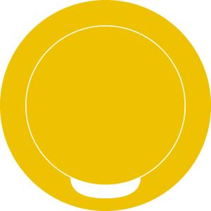 Snusdosa DUS guldfärgad aluminium gravyrbar