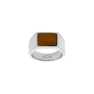 SON of NOA