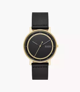 Skagen Watch