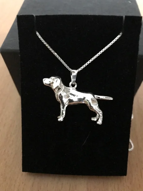 Labrador silver