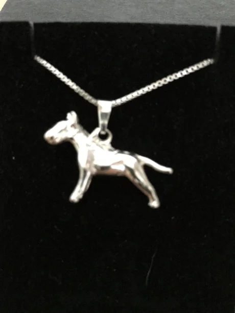 Pitbullterrier silver