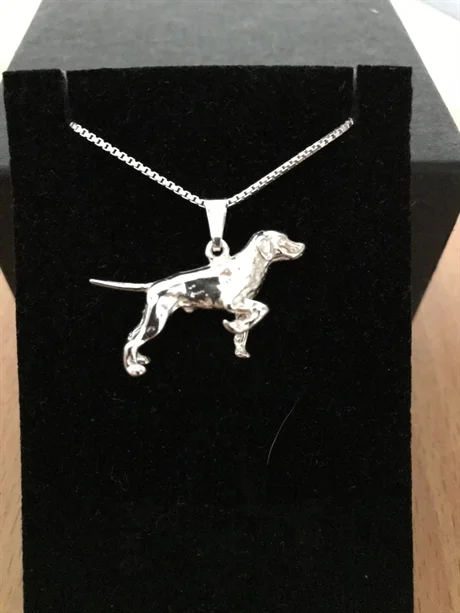 Pointer silver