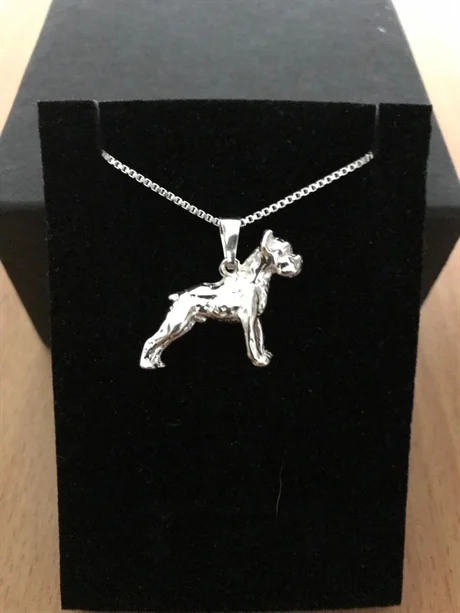 Boxer silver
