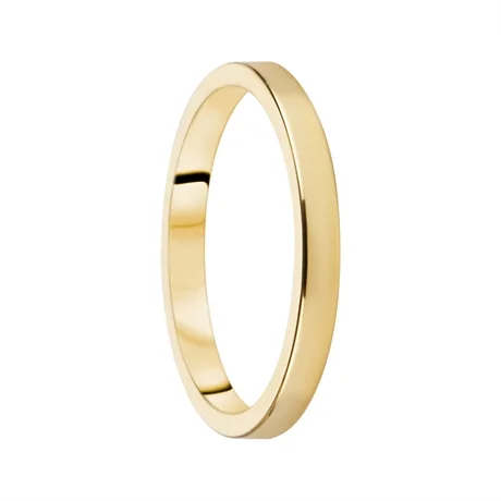 Destiny Förlovning 2,5mm 14K